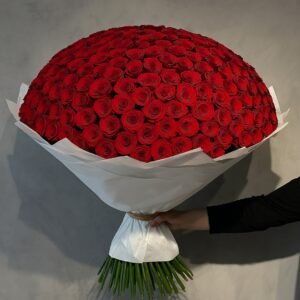 500 Rosas Vermelhas